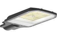 Светильник уличный LED NEOX ДКУ-02L, 50 Вт, 5000 К, 125 лм/Вт, IP65